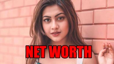 How rich is Reem Shaikh?