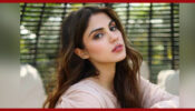 Rhea Chakraborty Ready To Hit Back