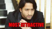 Shaheer Sheikh: The Most Attractive Asian Celebrity Of 2020
