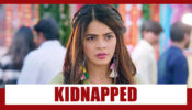 Shakti Astitva Ke Ehsaas Ki Spoiler Alert: OMG!! Heer to be kidnapped
