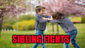 Sibling Fights: How to Deal with Them?