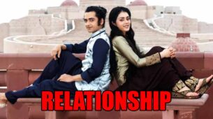Sumedh Mudgalkar and Mallika Singh: How is their relationship?