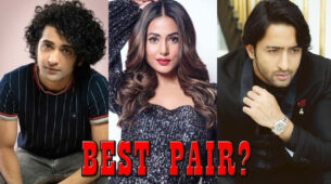 [Telly Talk] Sumedh Mudgalkar VS Shaheer Sheikh: After Dheeraj Dhoopar Who Do You Want To See In The Next Music Video With Hina Khan?