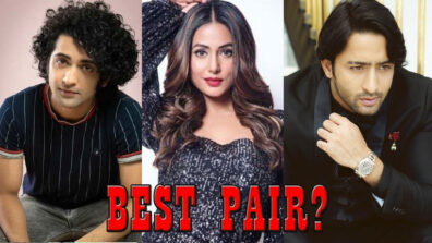 [Telly Talk] Sumedh Mudgalkar VS Shaheer Sheikh: After Dheeraj Dhoopar Who Do You Want To See In The Next Music Video With Hina Khan?