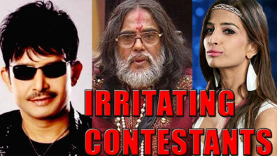 The Most Irritating Contestants From Bigg Boss Seasons REVEALED!