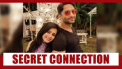 The Secret Connection Of Rhea Sharma And Shaheer Sheikh