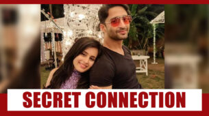 The Secret Connection Of Rhea Sharma And Shaheer Sheikh