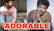 ‘Tom & Jerry waiting for vaccine’ – Kartik Aaryan’s adorable pose with a cat is absolutely hilarious