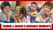 Top 5 Adorable Moments Of Taimur Ali Khan And Innaya Kemmu You Cannot MISS