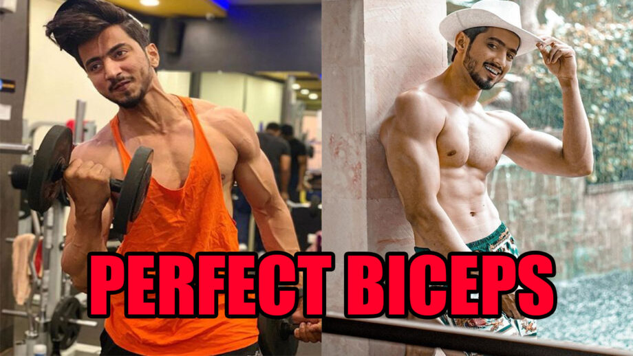 Want Perfect Big Biceps Like Faisu? 4 Bicep Workouts You MUST Try In Gym