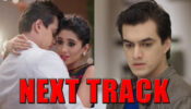 What Will Happen Next With Kartik And Naira In Yeh Rishta Kya Kehlata Hai?