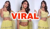 When Pooja Hegde Went Viral For THIS Reason!