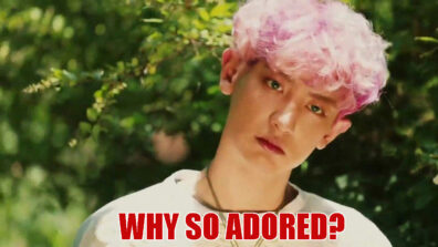 Why EVERYONE Loves EXO’s Chanyeol?