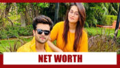 WOW: Combined Net Worth Of Dipika Kakar And Shoaib Ibrahim Will SHOCK You