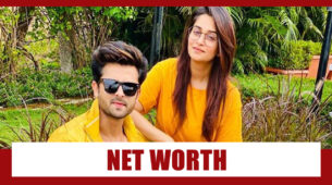 WOW: Combined Net Worth Of Dipika Kakar And Shoaib Ibrahim Will SHOCK You