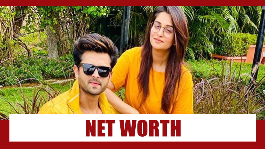 WOW: Combined Net Worth Of Dipika Kakar And Shoaib Ibrahim Will SHOCK You