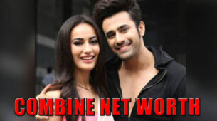Wow: Combined Net Worth Of Naagin Star Pearl V Puri And Surbhi Jyoti Will Shock You