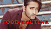 Yeh Rishtey Hain Pyaar Ke Fame Shaheer Sheikh Shares His Food Routine