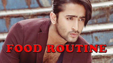 Yeh Rishtey Hain Pyaar Ke Fame Shaheer Sheikh Shares His Food Routine