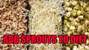 Add Sprouts To Your Daily Diet For Perfect Health