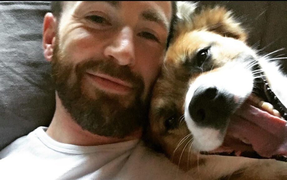 ADORABLE: Captain America fame Chris Evans shares a special selfie with his pet, fans go crazy