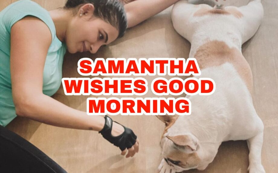 ADORABLE: Samantha Akkineni wishes good morning to special someone