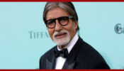 Amitabh Bachchan Films To Watch This Festive Season
