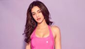 What is Ananya Panday’s spirit animal?