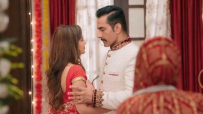 Anupamaa Written Update, Ep 87 21st October 2020: Anupamaa sees Kavya and Vanraj on bed