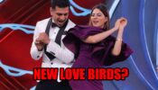 Are Eijaz Khan And Nikki Tamboli Next Bigg Boss 14 Love Birds?