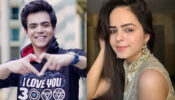 Are Taarak Mehta Ka Ooltah Chashmah Fame Raj Anadkat And Palak Sindhwani Good Friends? Check Facts