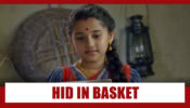 Barrister Babu Spoiler Alert: OMG!! Bondita to be hid in a flower basket