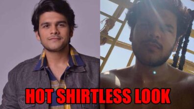 Taarak Mehta Ka Ooltah Chashmah Fame Bhavya Gandhi’s Oh-So-Hawt Shirtless Look