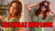 Bigg Boss 13 fame Shehnaaz Gill gets a NEW LOOK, check pictures