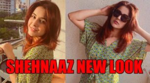 Bigg Boss 13 fame Shehnaaz Gill gets a NEW LOOK, check pictures