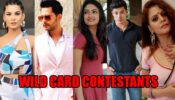 Bigg Boss 14 Buzz: Naina Singh, Shardul Pandit, Rashmi Gupta, Pratik Sehajpal and Sapna bhabhi to enter as wild card contestants