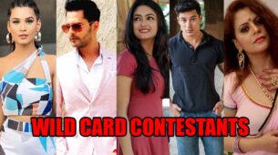 Bigg Boss 14 Buzz: Naina Singh, Shardul Pandit, Rashmi Gupta, Pratik Sehajpal and Sapna bhabhi to enter as wild card contestants