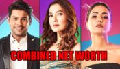 Bigg Boss 14 Seniors Hina Khan, Sidharth Shukla And Gauahar Khan’s COMBINED Net Worth Will Shock You