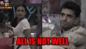 Bigg Boss 14 spoiler alert Day 11: All is not well between Eijaz Khan and Pavitra Punia