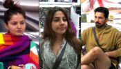 Bigg Boss 14 spoiler alert Day 12: Nikki Tamboli flaunts her privileges, irks seniors and freshers