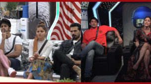Bigg Boss 14 Spoiler Alert Day 15: Will a senior go out of the game?