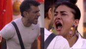 Bigg Boss 14 spoiler alert Day 17: Are Pavitra and Eijaz the Ishaqzaades of BB14?