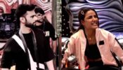 Bigg Boss 14 spoiler alert Day 22: Jasmin Bhasin feels unsafe having Rahul Vaidya around her