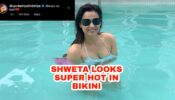 Bikini-clad Shweta Tiwari shares pool picture, Divyanka Tripathi finds her hot