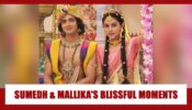 Blissful moments of Sumedh Mudgalkar And Mallika Singh From Radhakrishn