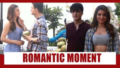 Check out: Urvashi Rautela’s romantic moment with Mohsin Khan