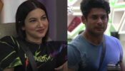 From social media rivals to a blossoming friendship – could love be the next step for Gauahar Khan and Sidharth Shukla?