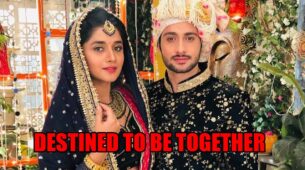 Guddan Tumse Na Ho Payega spoiler alert: Guddan and Agastya destined to be together