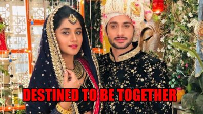 Guddan Tumse Na Ho Payega spoiler alert: Guddan and Agastya destined to be together