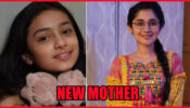 Guddan Tumse Na Ho Payega Spoiler Alert: Rashi to mistake Choti Guddan to be her ‘new mother’